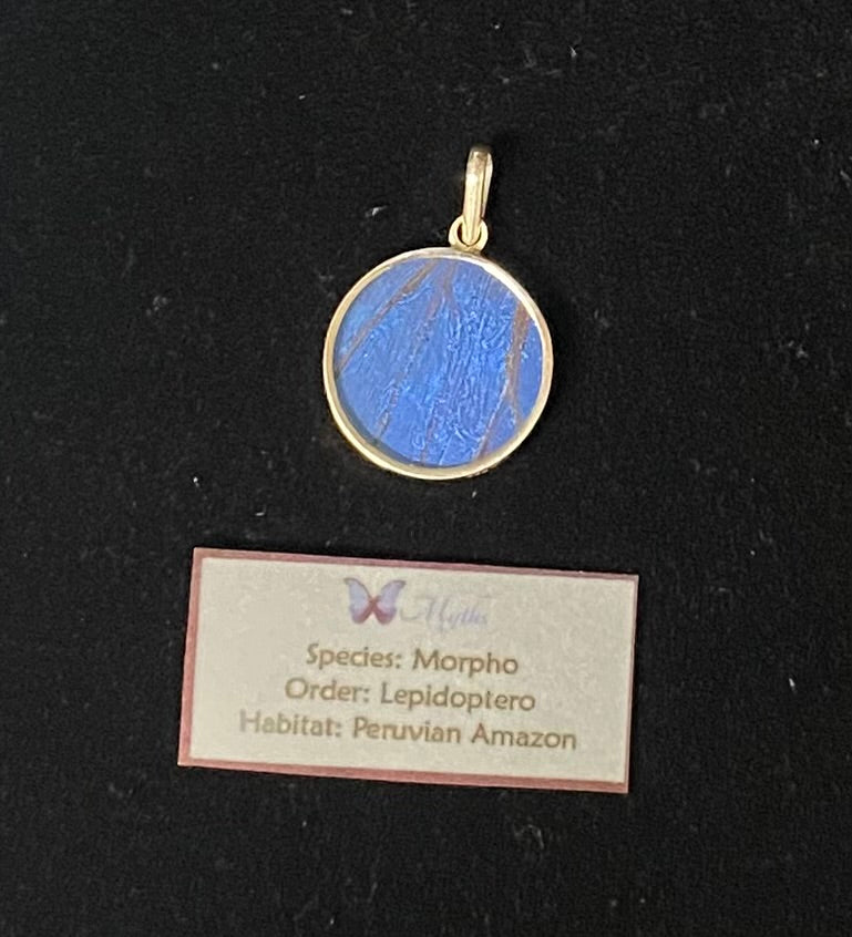A round sterling silver pendant with a blue butterfly wing center, displayed on a black background above a small identification card.