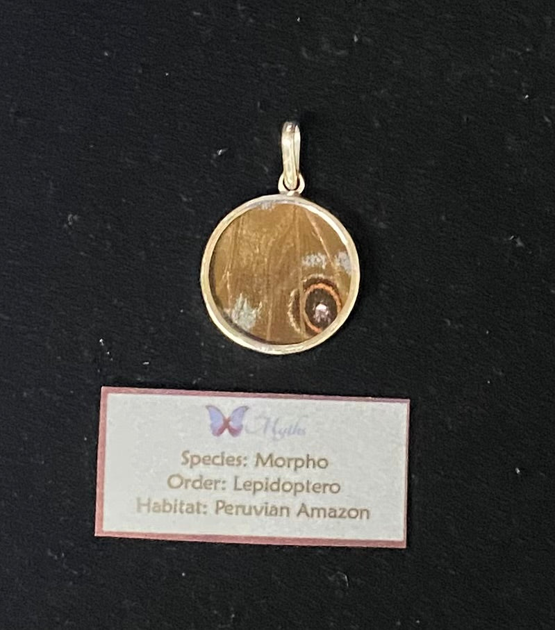 A round pendant featuring a preserved butterfly wing specimen, displayed on a black background above a descriptive label card.