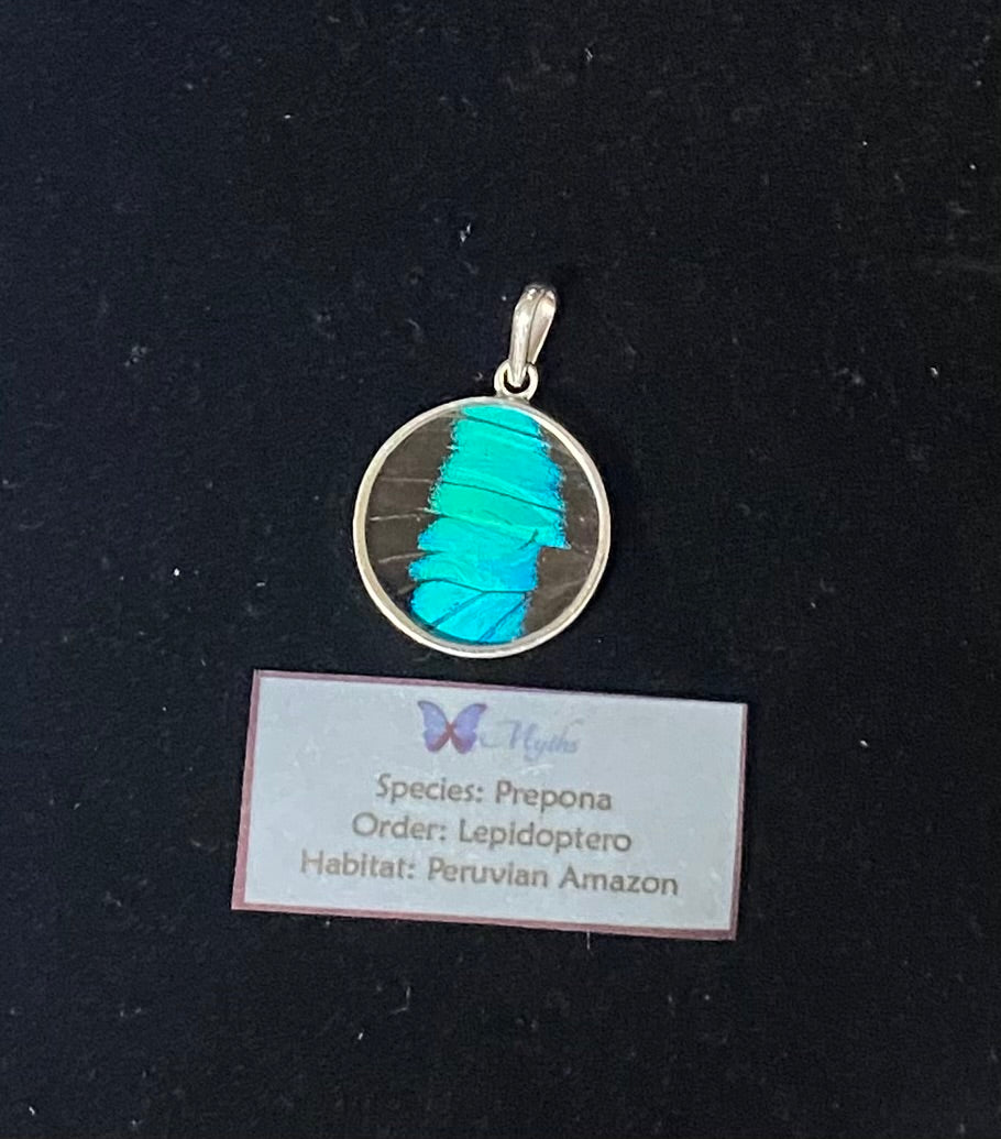 A round pendant featuring a vibrant turquoise blue butterfly wing specimen set in silver, displayed above a small white label with text identifying the butterfly species and habitat.