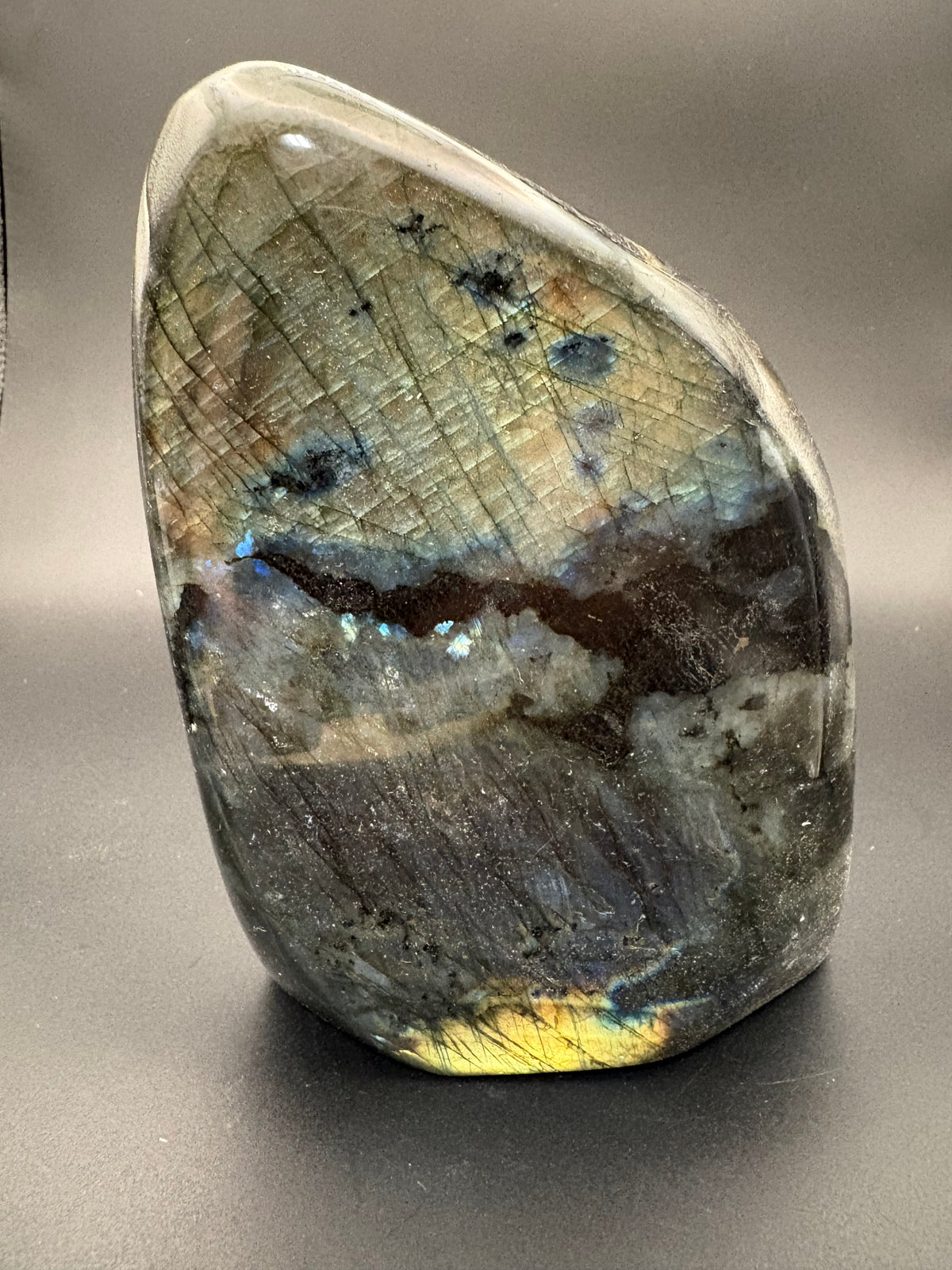 A polished natural labradorite stone with a smooth, irregular shape, showcasing a gray and dark brown base with vibrant iridescent flashes of blue, gold, and green on a dark gray background.