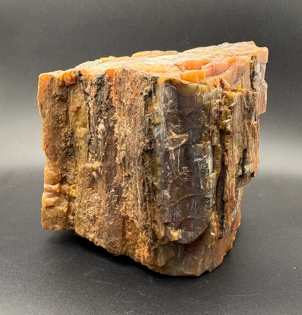 A raw petrified wood block specimen showing natural wood grain and layered mineral textures in shades of brown, orange, and dark gray, set against a dark gray background.
