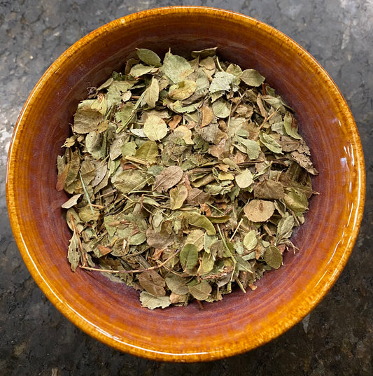 Blueberry Leaf Cut & Sifted green leaves