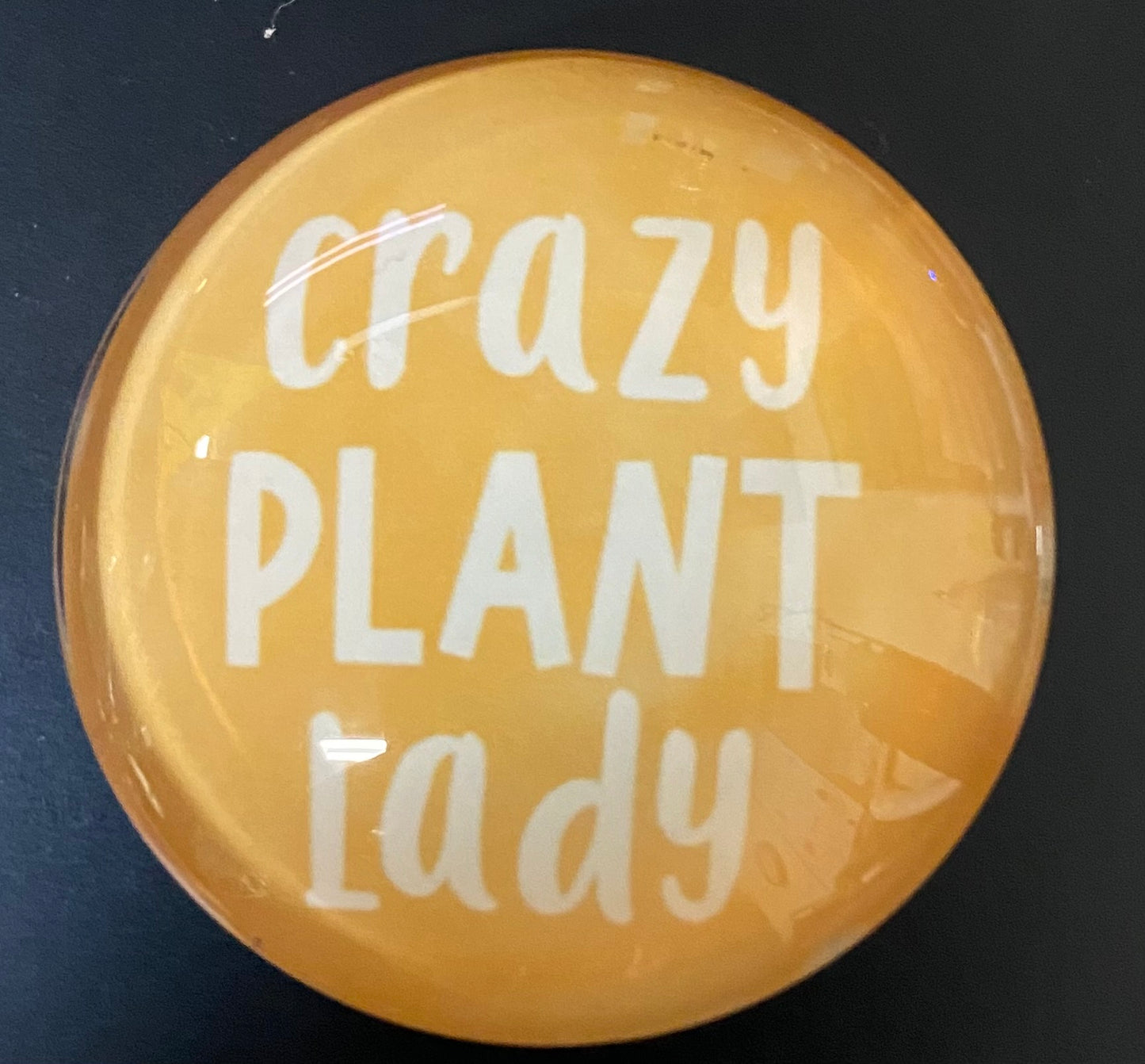 Crazy plant lady magnet