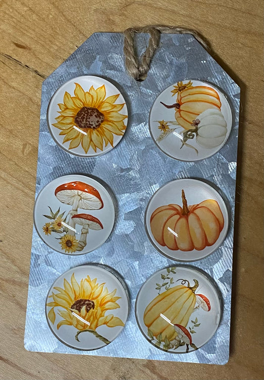 Set of six decorative magnets with autumn-themed designs on a cardboard backing.