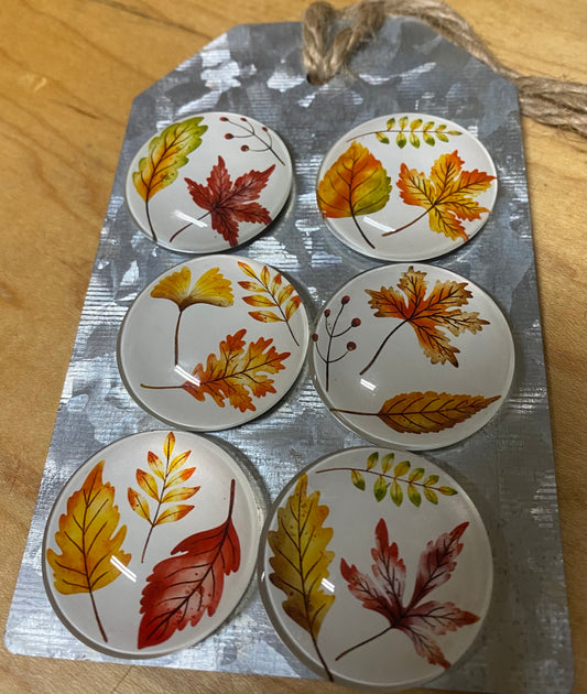 Set of six decorative magnets with autumn leaf designs on a silver card.