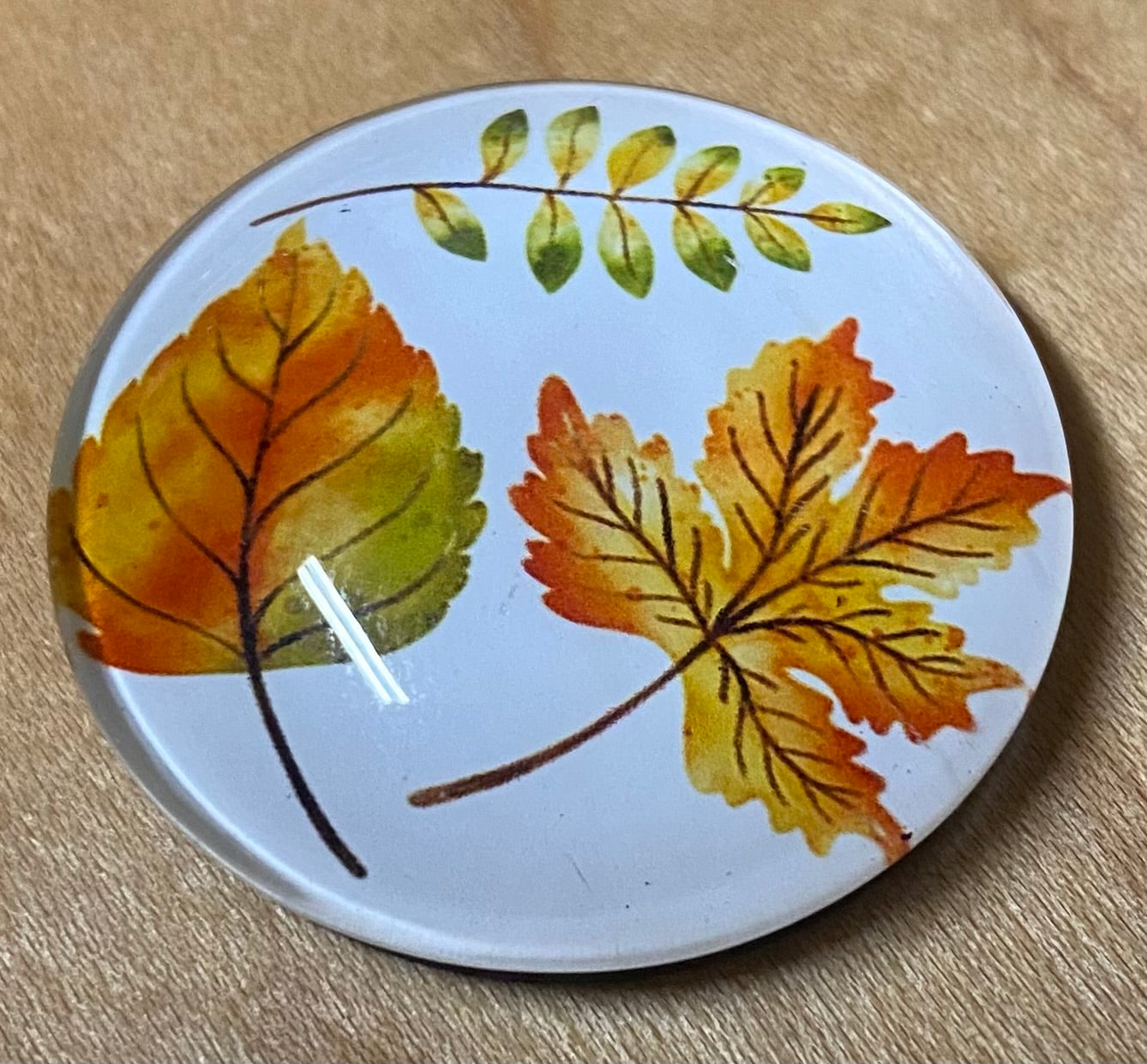 Round magnet with autumn leaf design on a wooden surface