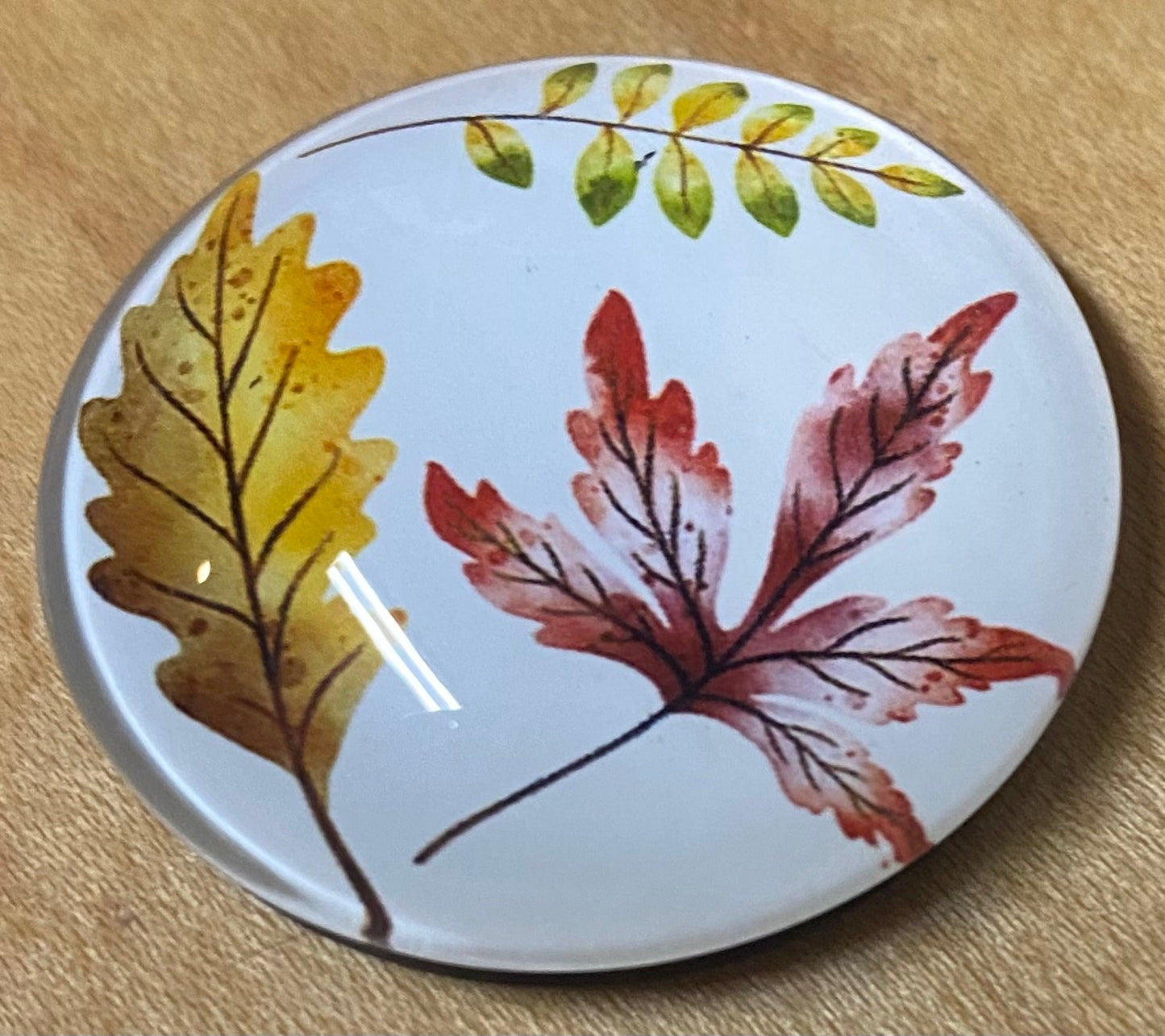 Round magnet with autumn leaf design on a beige surface