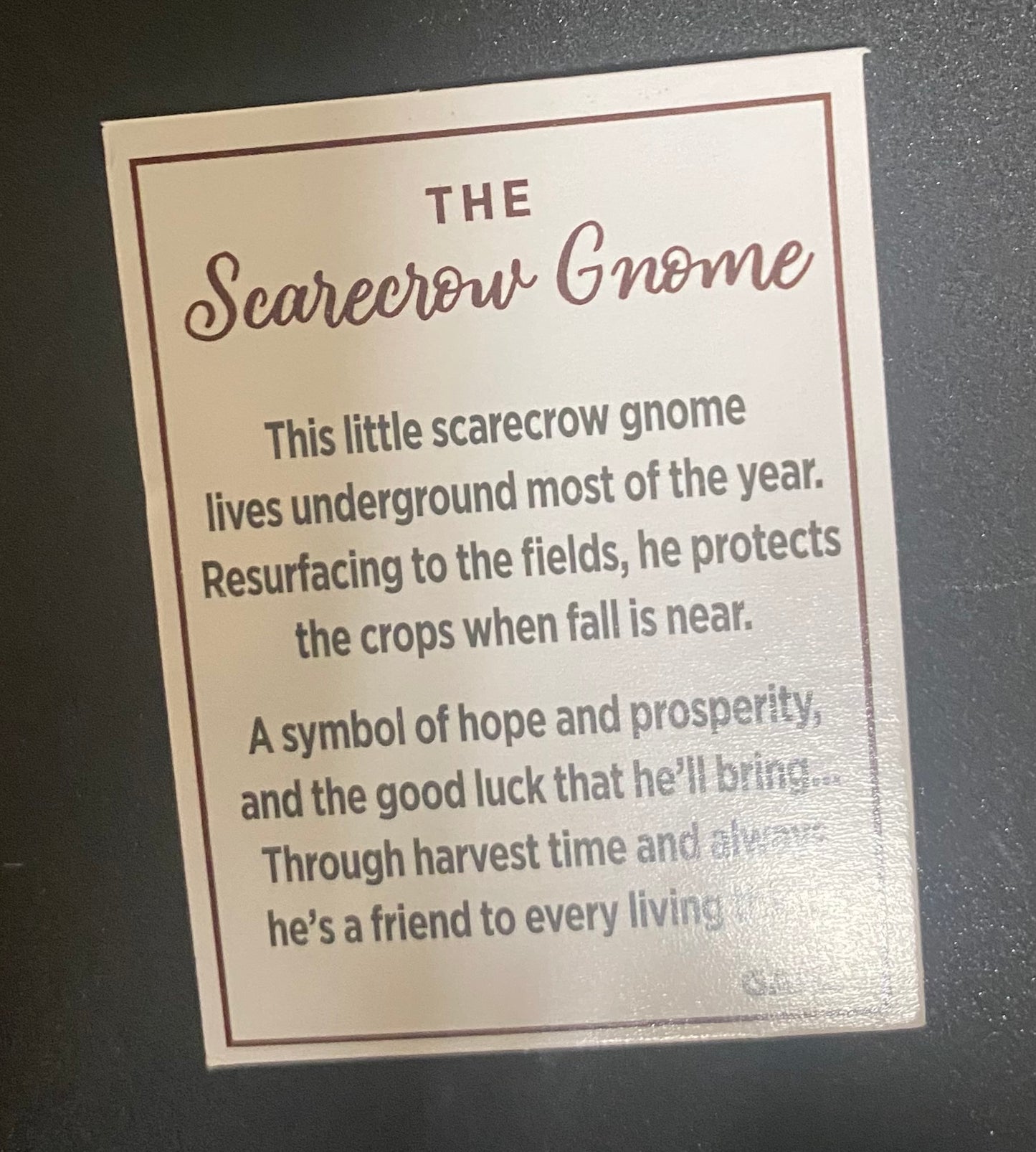 Card with text about the Scarecrow Gnome on a dark background