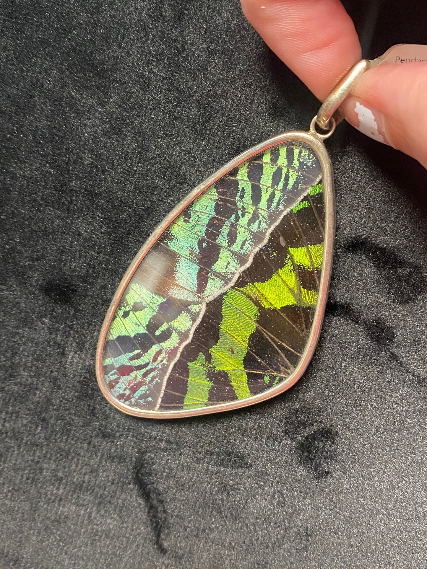 Pendant Sunset Moth Green