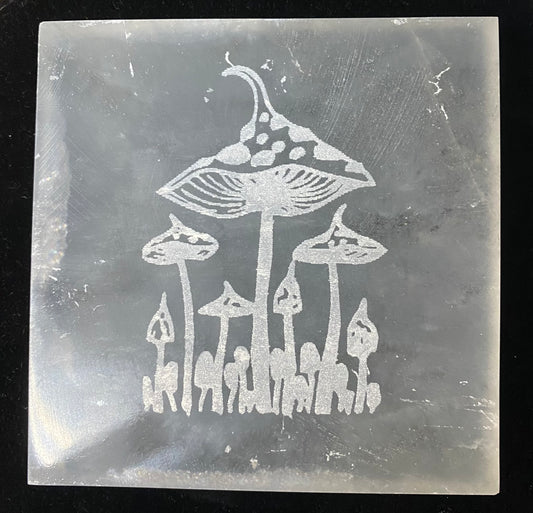 Decorative stone with engraved mushrooms on a black background