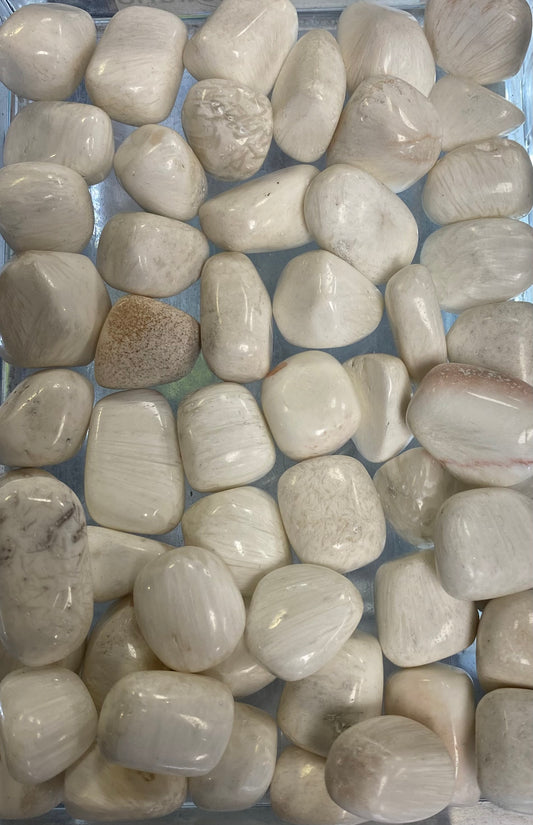 Close-up of light-colored pebbles or stones on a reflective surface