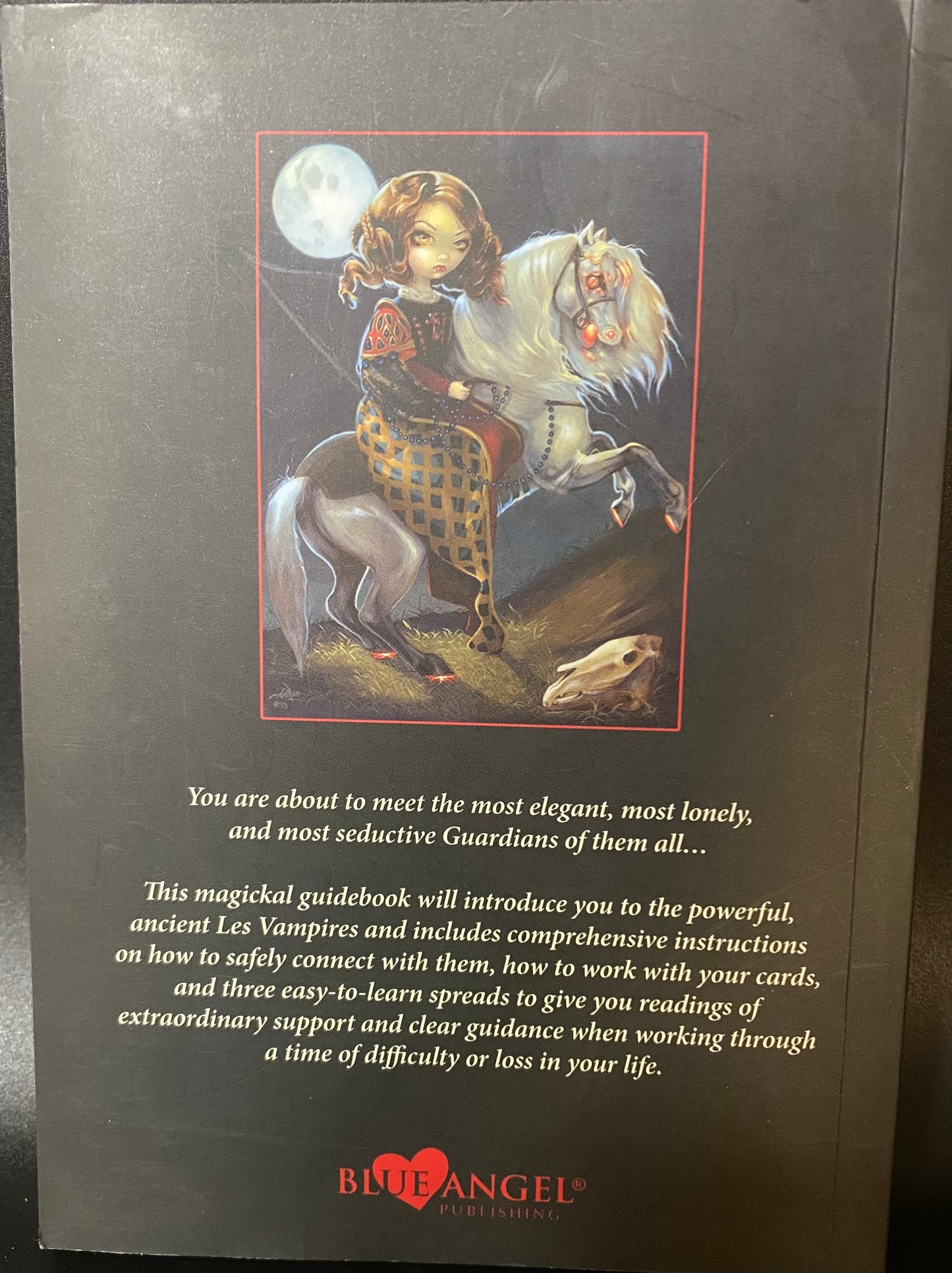 Book cover with illustration of a girl on a horse and text about 'Blue Angel Publications'.