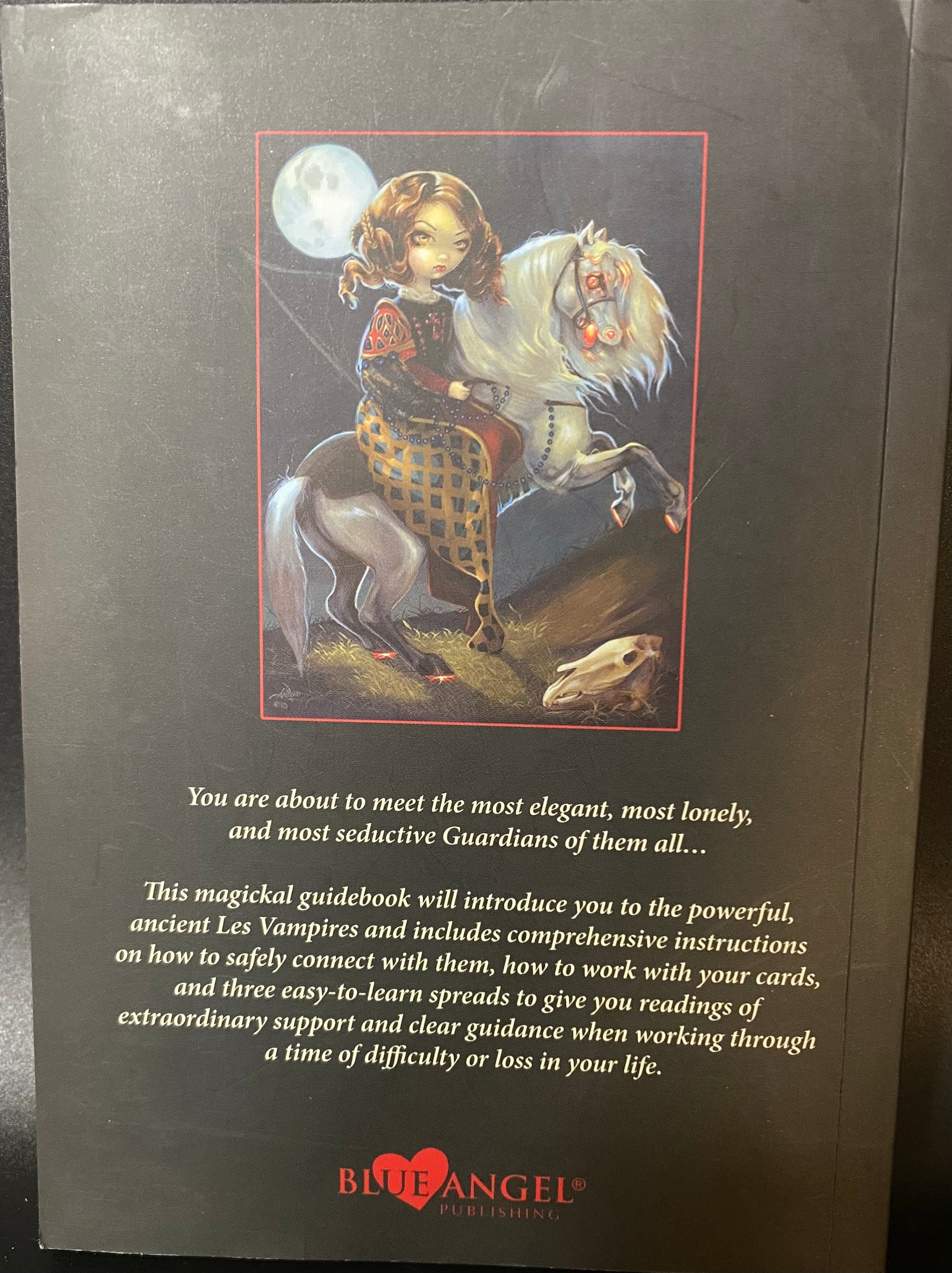 Book cover with illustration of a girl on a horse and text about 'Blue Angel Publications'.