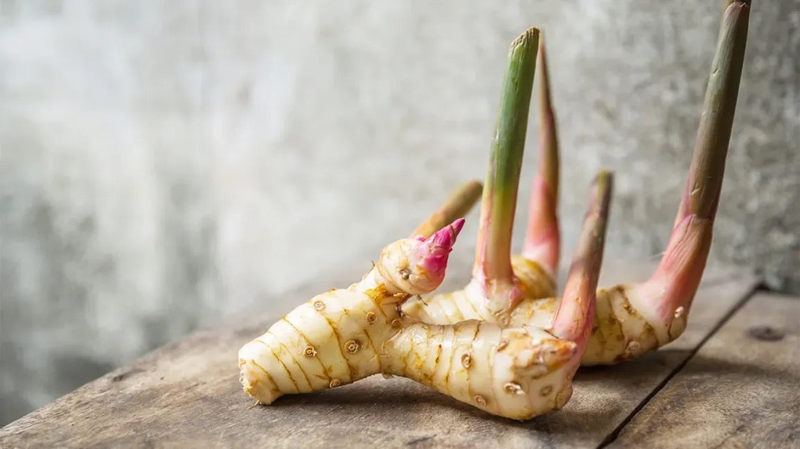 Galangal root