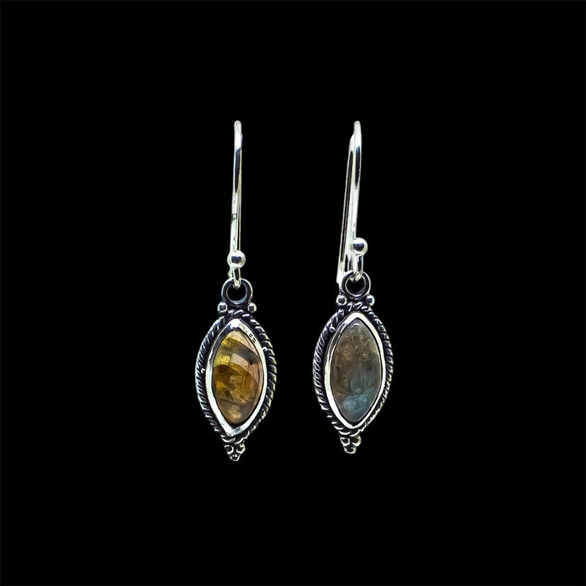Pair of silver earrings with gemstones on a black background