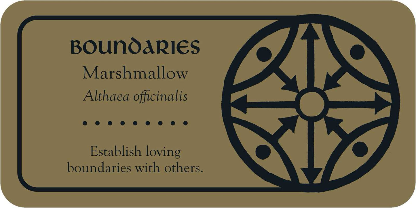 Card with text and a circular design on a beige background