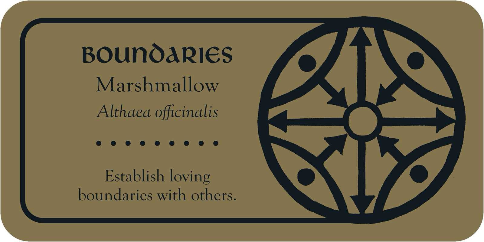 Card with text and a circular design on a beige background