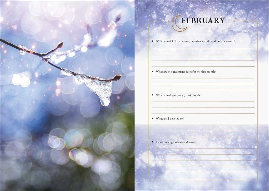 February-themed planner page with ice-covered branch and blurred lights