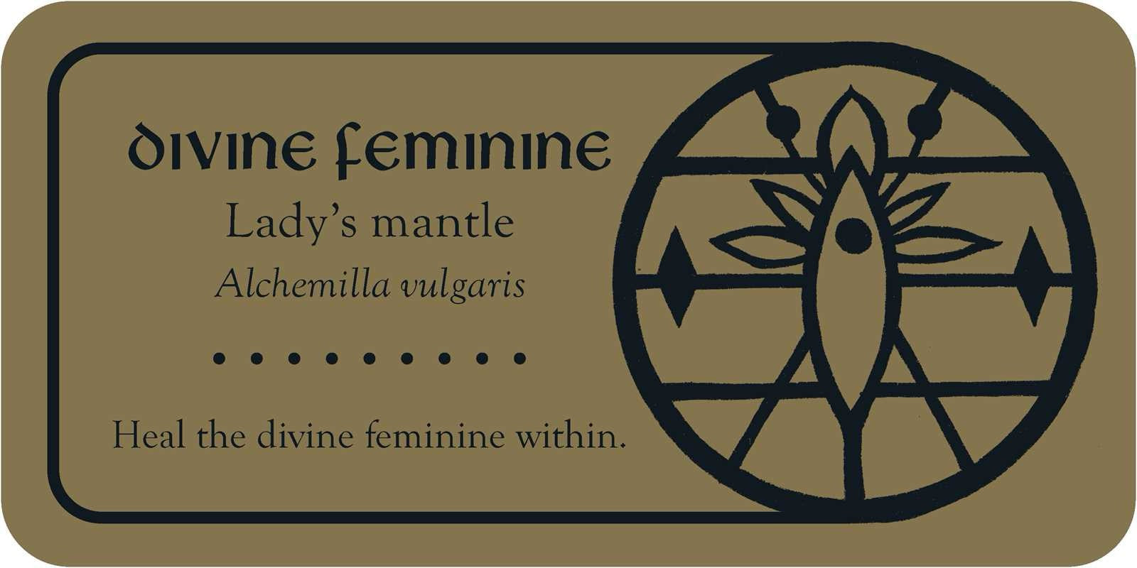 Label for 'Lady's mantle' with text and symbol on a beige background