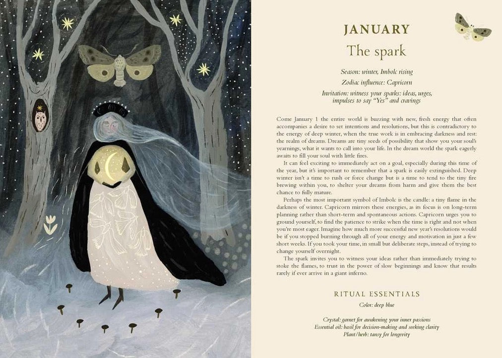 Illustration of a penguin in a forest with text on January rituals.