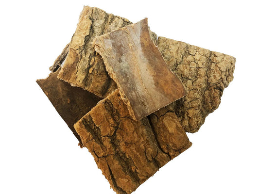 Eucommia Bark (Du Zhong) Cut Square brown 