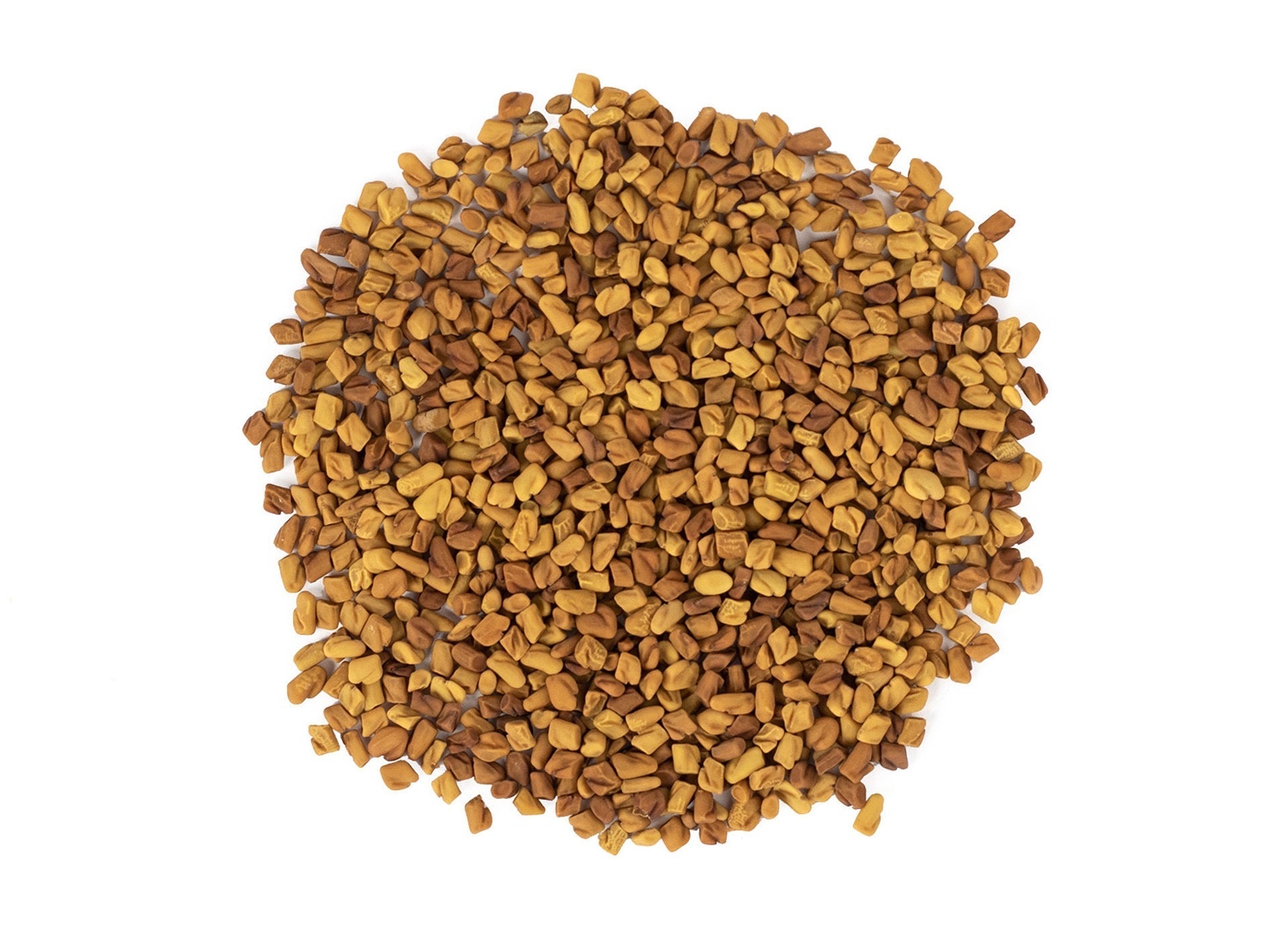 Fenugreek Seed Whole orange brown