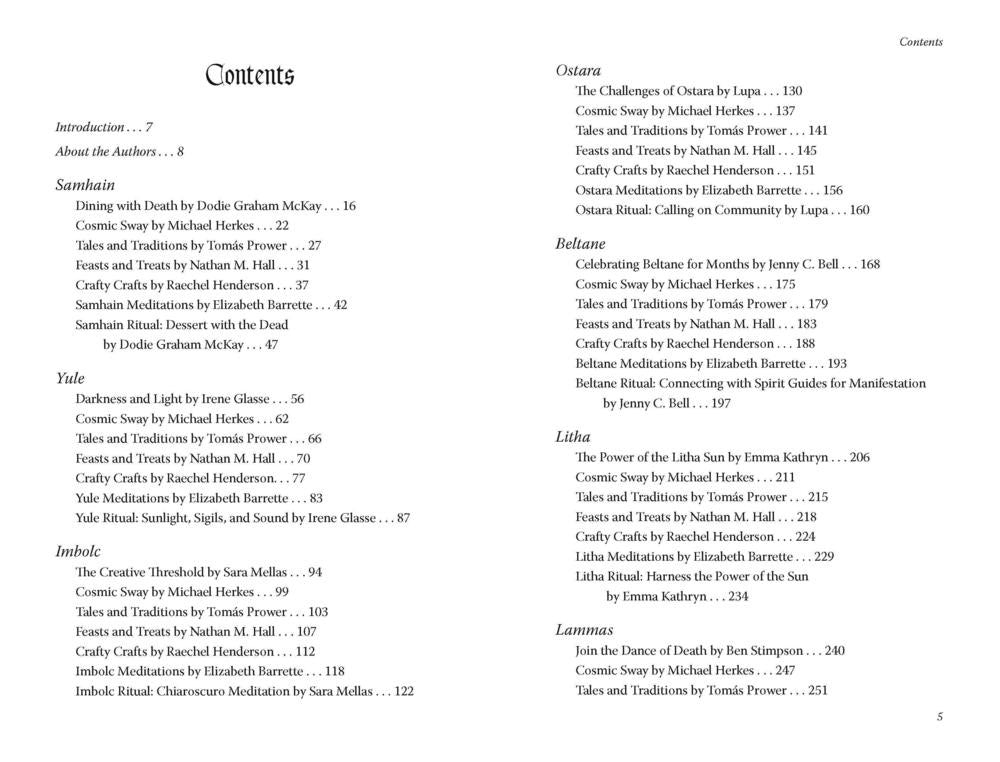 Table of contents from a book or document with listed sections and authors.
