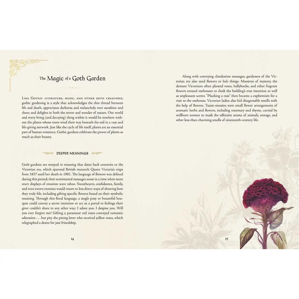 Book page with text and an illustration of a red flower on a beige background