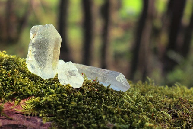 Quartz Crystals on moss with trees in background