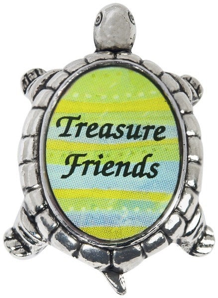 Charm Lucky Turtle Treasure Friends