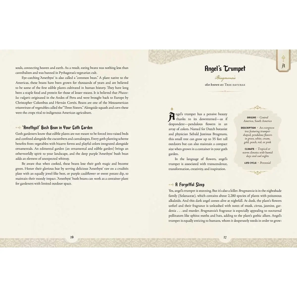 Book pages with text and decorative elements on a white background