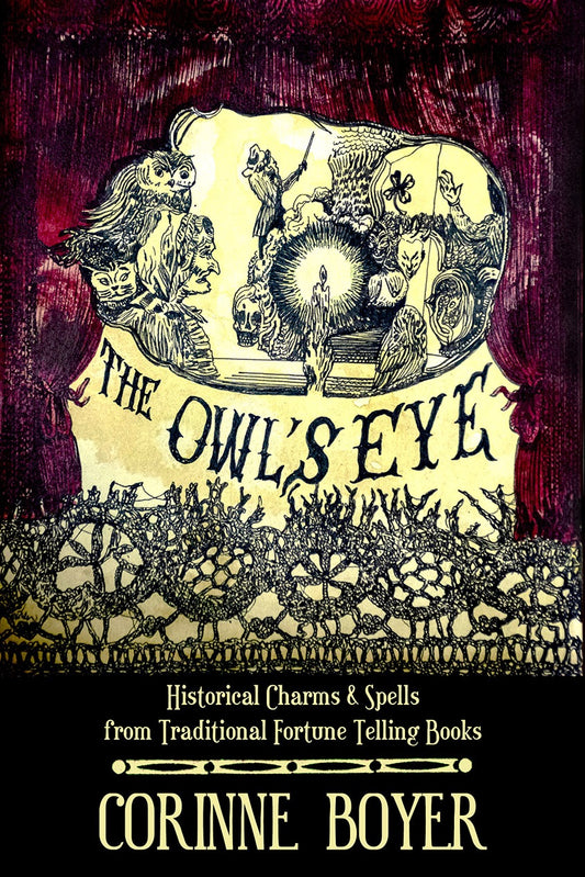 Book cover of 'The Owl's Eye' by Corinne Boyer with mystical design and text.