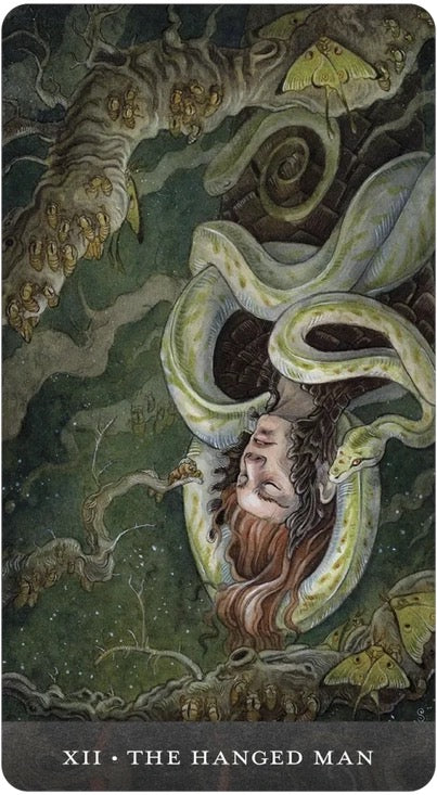 Tarot card titled 'The Hanged Man' with a stylized illustration of a person hanging from a tree branch.