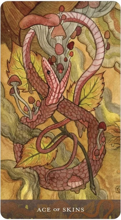 Card featuring a stylized dragon with leaves and mushrooms on a textured background, labeled 'Ace of Skins'.
