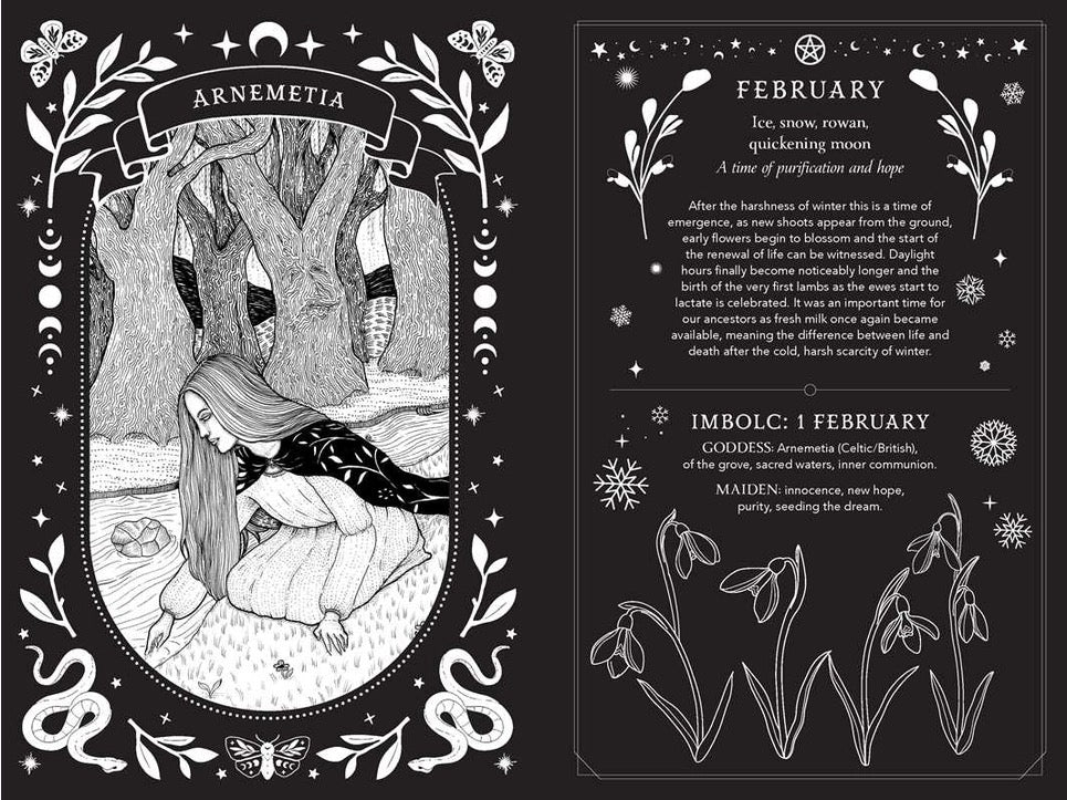 Illustration of a woman in a forest with astrological and botanical elements on a black background.