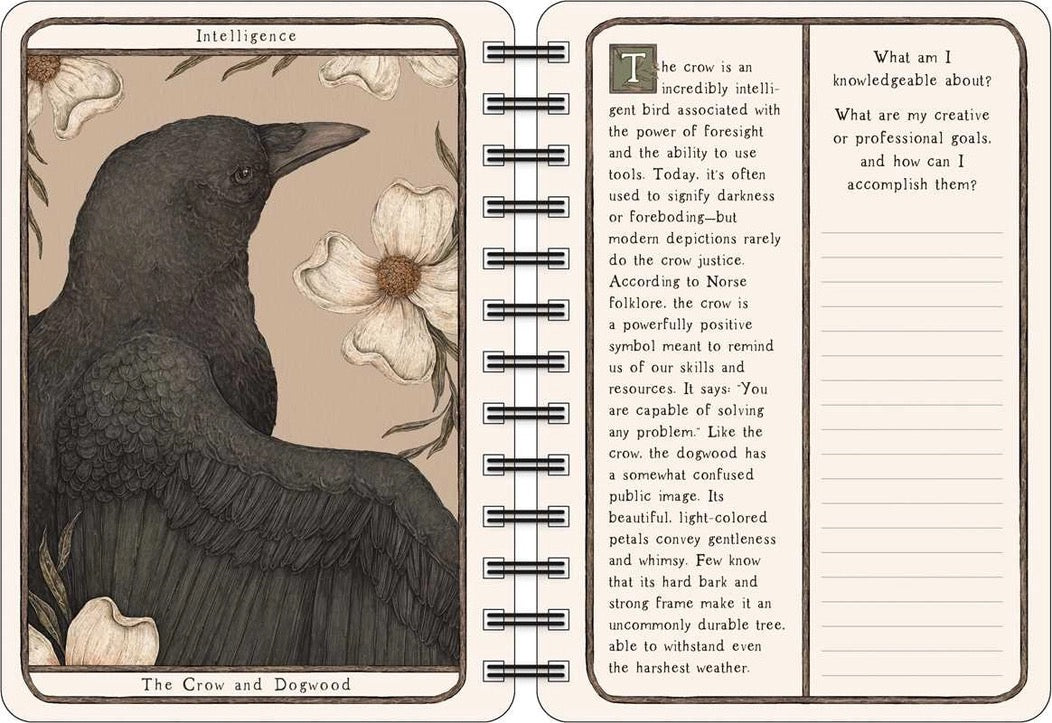 Open book with a crow illustration and text on a beige background