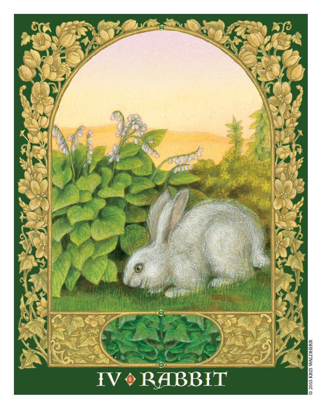 The Sacred World Oracle rabbit