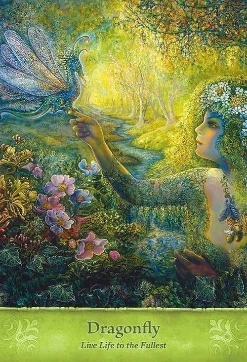 Fantasy illustration of a woman reaching towards a dragonfly in a lush forest.