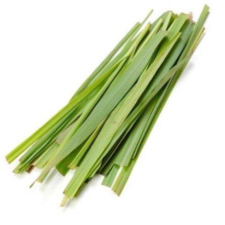 Cymbopogon martini leaves