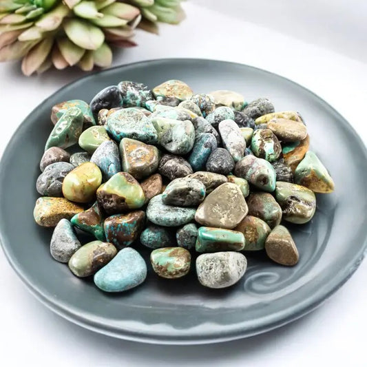 Turquoise stones on a gray plate with a succulent plant in the background