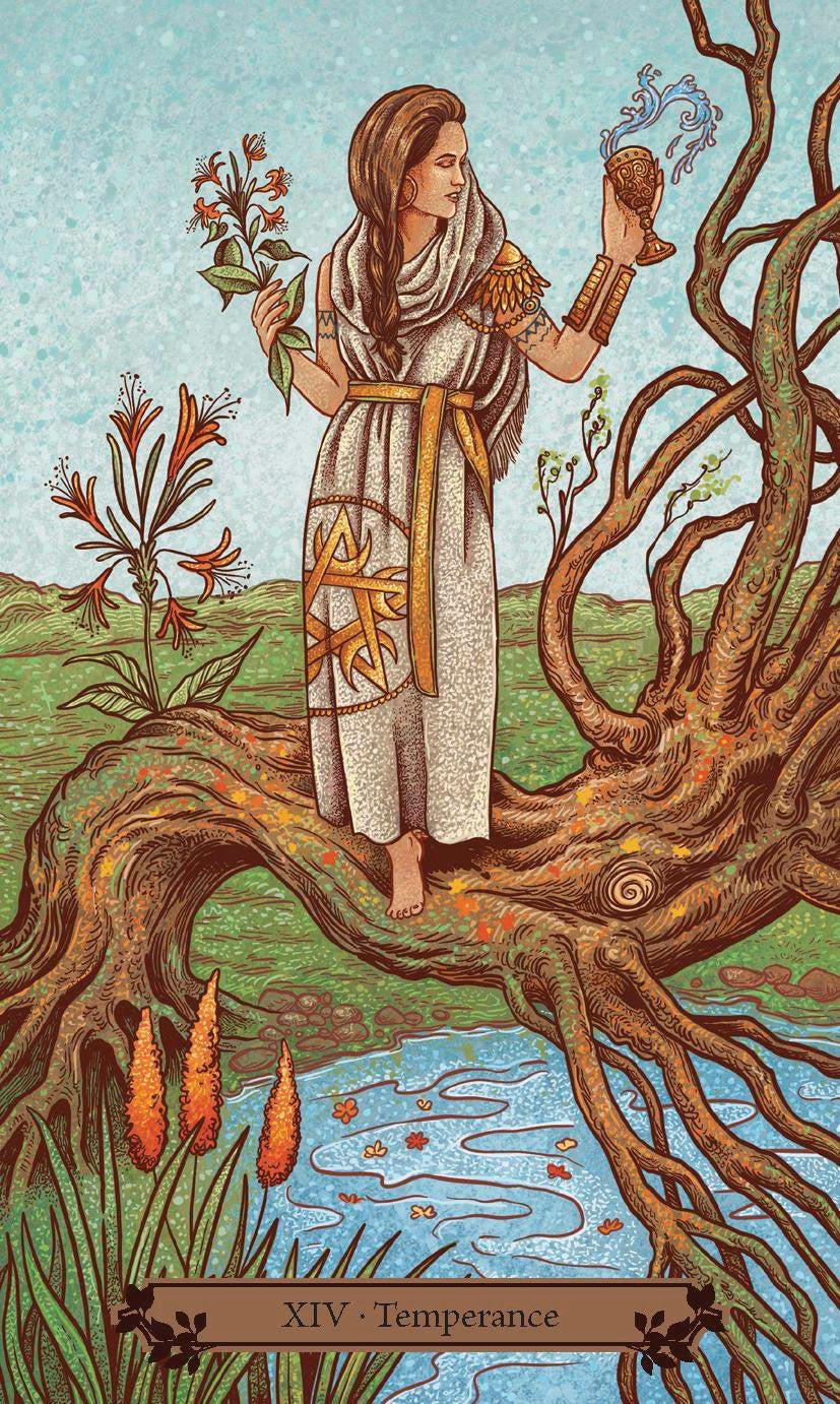 Tarot card featuring a figure standing on a tree branch with plants and water, labeled 'XIV: Temperance'.