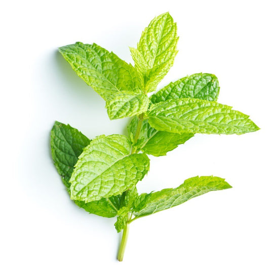 Peppermint leaves