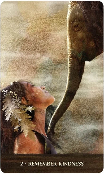 Woman with flowers in her hair touching an elephant's trunk against a misty background