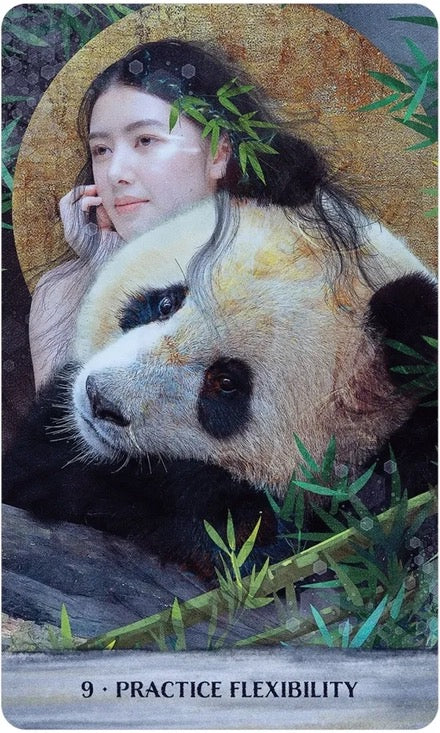 Card with a panda and a person, featuring the text '9. Practice Flexibility'.