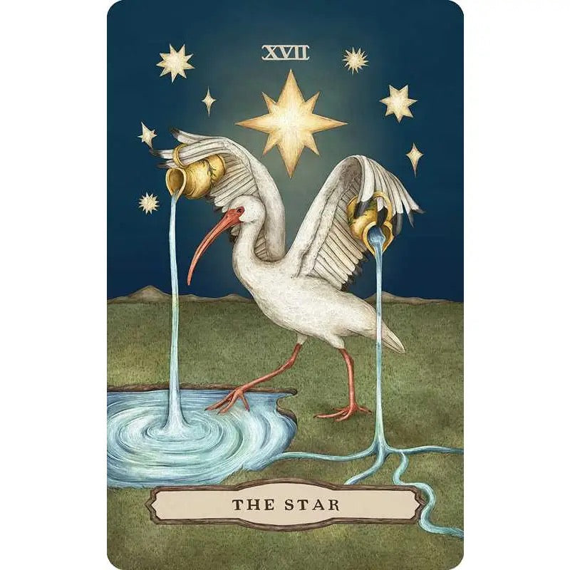 Tarot card titled 'The Star' featuring a stork pouring water from a cup into a star.
