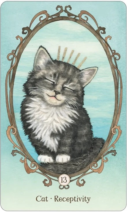Illustration of a cat with a decorative frame on a blue background, labeled 'Cat - Receptivity'.