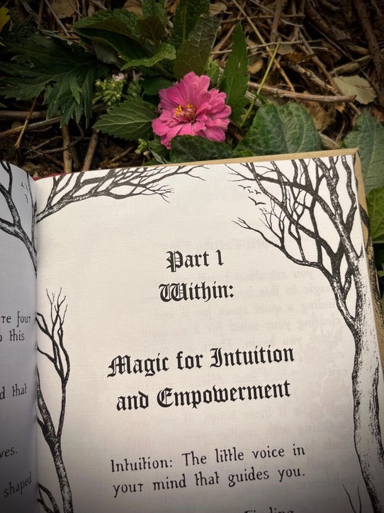 An open book or journal lying outdoors on the ground, showing printed pages with black gothic-style text and tree illustrations. Green leaves and a pink flower are visible around the book.