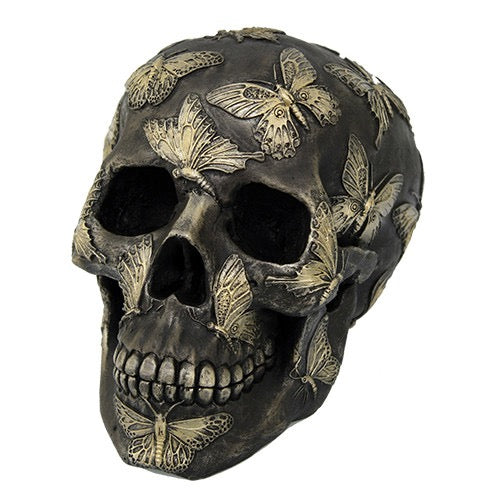 Skull Butterfly on white background