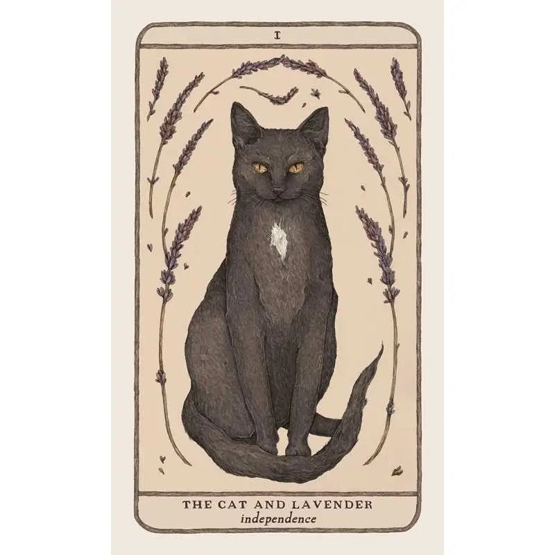 Oracle card with a back cat and lavender