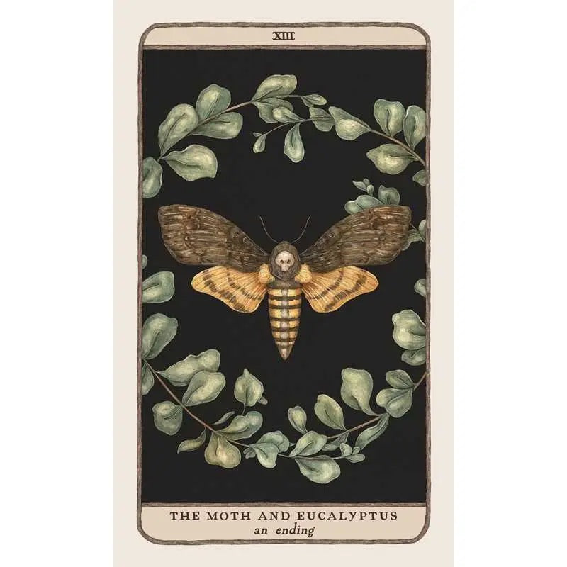 Oracle card featuring a moth and eucalyptus leaves on a black background